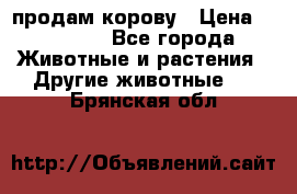 продам корову › Цена ­ 70 000 - Все города Животные и растения » Другие животные   . Брянская обл.